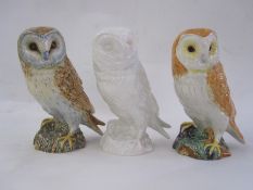 Three Beswick model owls, 1046 various colours, four Doulton Whyte & Mackay ceramic owl whisky