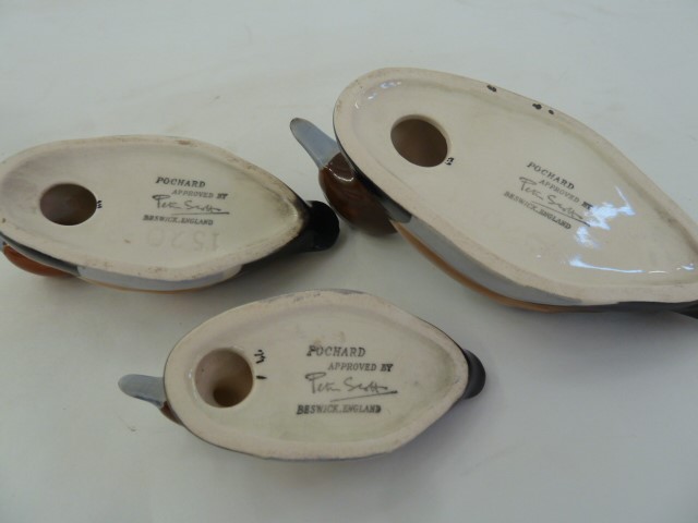 Three Beswick pochard ducks, graduated in size, 14cm, 11cm and 9cm  Part of the Wildfowl and - Image 2 of 2