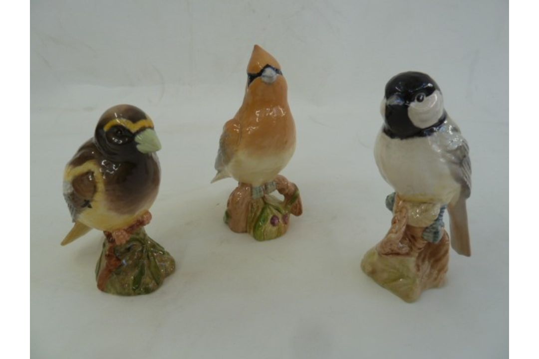 Six various Beswick model birds, Cedar Waxwing, Baltimore Oriole, American Robin, Black Capped - Image 2 of 2
