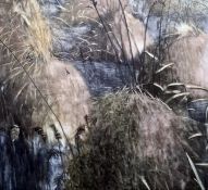 Judith Belzer Oil on canvas 