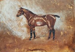 Early 20th century school Watercolour and pastel Study of a racing horse, initialled lower left '