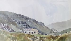 David Bellamy (British, 21st century)  Watercolour drawings View of a semi-ruined cottage in
