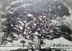 Carla Randall  Etching and aquatint 