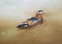Michael Sawdy (20th century) Oil on board Mandarin duck Signed top left 43cm x 59.5cm Condition