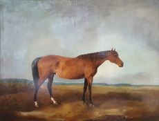19th century school Oil on canvas Study of a horse  Unsigned 56cm x 72.5cm