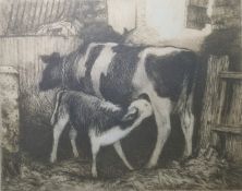 Gillian Stroudley  Pair etching and aquatints 