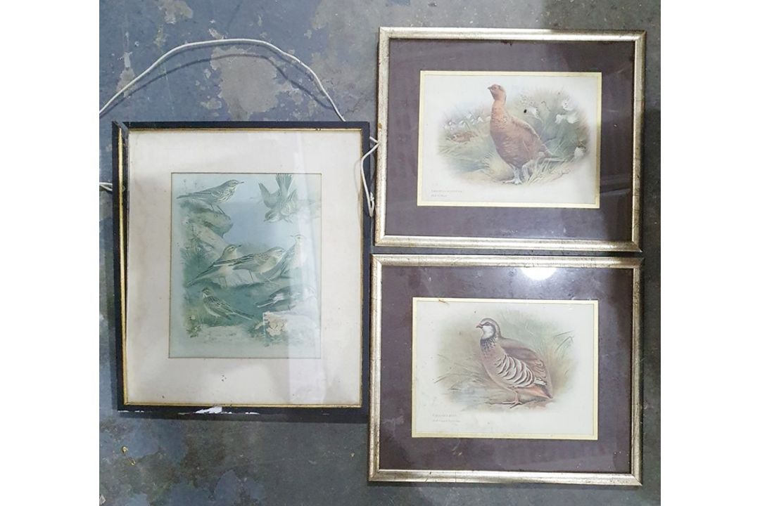Photograph of a Vickers Victoria III, gilt picture frames and assorted prints and pictures (1 box) - Image 2 of 12