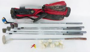 Two dumbbell weights, golf carry case with golf clubs and steam cleaner (4)