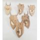Set of six German miniature deer horns each mounted on an oak shield, various sizes, approx. 30cm - Image 4 of 4