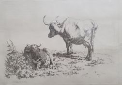 After Robert Hills (1769 - 1844) Five engravings from the Etchings of Cattle published 1806, each