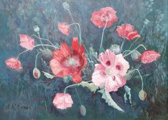 Various framed photographs of birds to include kingfisher, cricketing prints including G L Jessop of