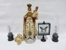 Taxidermy butterflies set on a wooden stand under glass dome, a large boxed butterfly/moth on