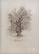 Set of four limited edition etchings depicting a tree through the seasons, each titled in pencil and