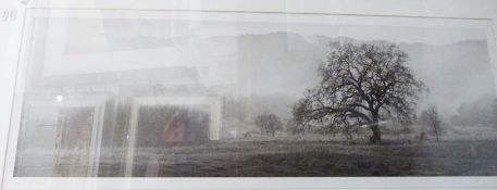 Photographic print of a landscape, titled 'Aged #2', signed indistinctly 'Martin(?)', 49cm x 70cm