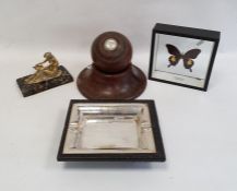 Turned hardwood bowling ball by Taylor Rolph Co Ltd, on turned oak stand and a exotic butterfly in