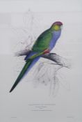 After Edward Lear Set of five coloured prints of parrots, framed to match, and Algernon Talmage