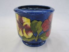 Moorcroft Amaryllis jardiniere, blue ground, marked to base, 12cm high
