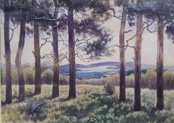 19th century school Watercolour Countryside scene, unsigned, 26cm x 40cm  JK Watercolour Coastal