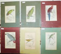 After Edward Lear (1812-1888) Engraving  Study of birds and assorted further prints, etc (1 box)
