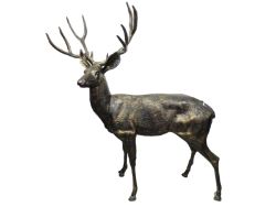 Treasures in Boxes & Household Items (Timed)