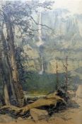 After Luigi Kasimir (1881-1962) Etching 'Yosemite Falls', paper label verso (43 x 29 cm)