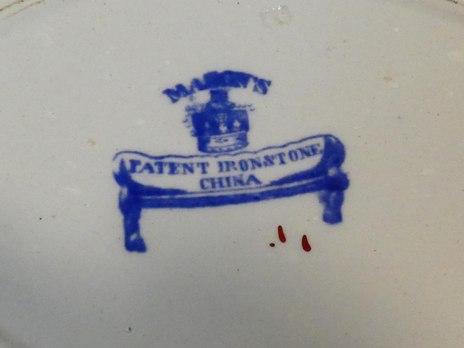 An antique ceramic blue and white transferware design meat platter with 'Botanical Beauties' - Image 10 of 10