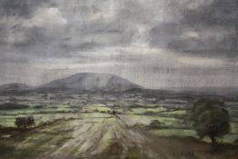 AN UNFRAMED PASTEL ON PAPER LAID ON BOARD DEPICTING A COUNTRY LANDSCAPE SIGNED S. FELL OVERALL