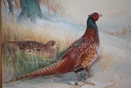 (XX). British school, study of a male and female pheasant in a wooded winter landscape, unsigned,