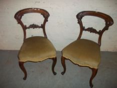 TWO ANTIQUE BALLOON BACK CHAIRS, SPRUNG SEATED