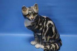 A WINSTANLEY CAT, HEIGHT 30 CM¦Condition Report:The cat has no chips, cracks or repairs that we