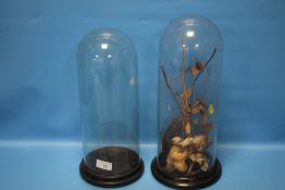 TWO GLASS DOMES, ONE WITH DRIED FOLIAGE, APPROX HEIGHTS 40 CM AND 36 CM