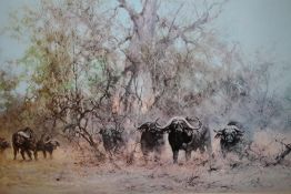 A LARGE GILT FRAMED AND GLAZED SIGNED DAVID SHEPHERD PRINT DEPICTING BUFFALO ENTITLED 'IN THE