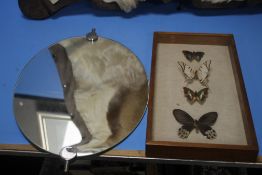 AN OVAL MIRROR AND A SET OF MOUNTED, FRAMED BUTTERFLIES