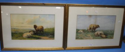 FRANCIS WAINWRIGHT - TWO WATERCOLOURS DEPICTING SHEEP