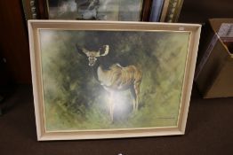 A DAVID SHEPARD PRINT ALONG WITH A QUANTITY OF OTHER PICTURES