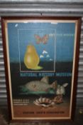 A LARGE FRAMED AND GLAZED REPRODUCTION ADVERTISING POSTER OF THE NATURAL HISTORY MUSEUM - OVERALL