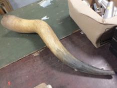 A LARGE ANIMAL HORN TOGETHER WITH A BOX OF MODERN LIGHT FITTINGS