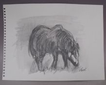 CIRCLE OF JOHN KYFFIN WILLIAMS (1918-2006). Study of a pony, bears initials lower right, pencil on