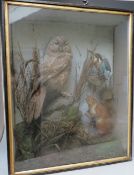 A CASED TAXIDERMY DISPLAY A/F, containing and owl, a kingfisher and a squirrel in naturalistic