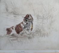 GEORGE VERNON STOKES (1873-1954) study of a springer spaniel fetching a game bird from the lake,