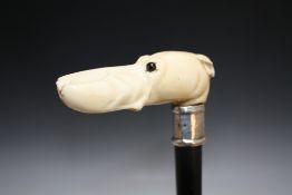 A CARVED IVORY WALKING CANE IN THE FORM OF A DOGS HEAD, with a very large chip to the dogs muzzle, L