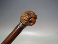 A CARVED COQUILLA NUT TOPPED WALKING CANE IN THE FORM OF A PARROT'S HEAD, with glass eyes, L 86 cm