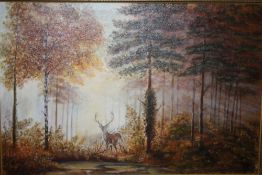 A GILT FRAMED OIL ON BOARD DEPICTING A STAG IN A WOODLAND - SIZE - 75CM X 49.5CM