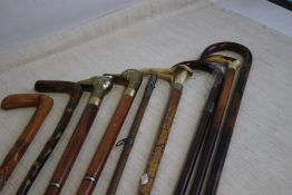 A COLLECTION OF WALKING STICKS, to include modern birds' head handle types