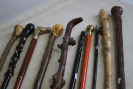 A COLLECTION OF WALKING STICKS, to include hawthorn types