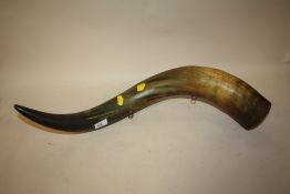 A LARGE ANIMAL HORN WITH HANGING HOOKS