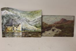TWO UNFRAMED OIL ON BOARDS TO INCLUDE A MOUNTAINOUS LAKE SCENE SIGNED JUNE FOX