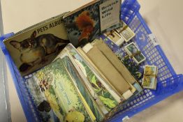 A COLLECTION OF CIGARETTE CARDS BOTH LOOSE AND IN ALBUMS