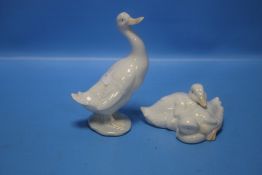 A NAO GOOSE AND A NAO DUCK GROUP (2)