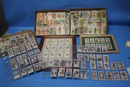 A QUANTITY OF TEA AND CIGARETTE CARDS TO INCLUDE BOTH FRAMED AND LOOSE